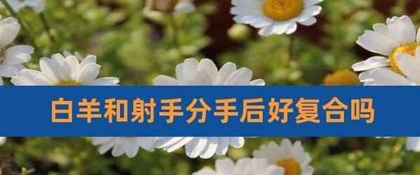 再续前缘，射手座复合的机会如何（射手座个性特质解析）