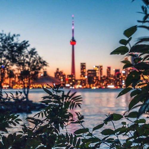 如何真正放下一个人（放不下就去挽回）