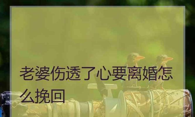 老婆不开心了，怎么挽回她的心（以老婆吵架为例）