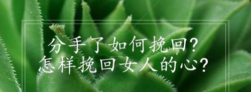 如何挽回已经令女生心寒的感情（恢复失去的信任和感情）