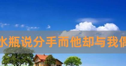 水瓶男提出分手，如何挽回（解析水瓶男的心理）