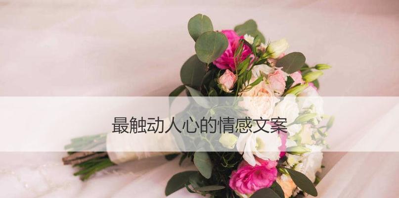 悔过之路——挽回曾经被我伤害的人（道歉的艺术）