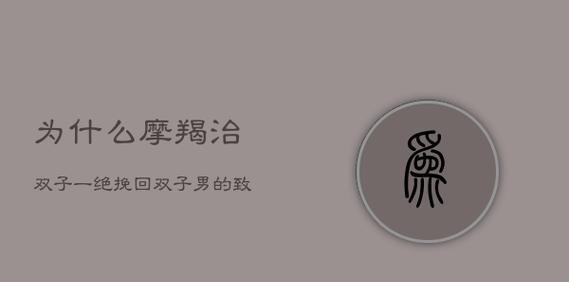 双子男的挽回秘诀（如何重建双子男的信任与感情）