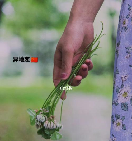 异地恋如何见面挽回（攻略分享）