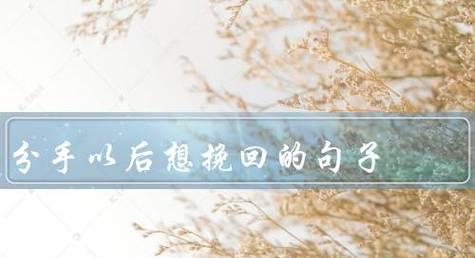 分手后如何用正确的话语挽回爱情？挽回时最有效的句子是什么？