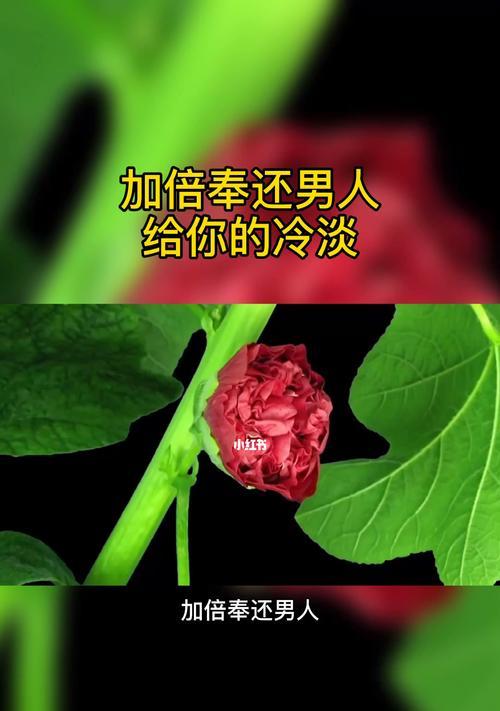复合后关系变冷淡怎么办？如何修复感情？