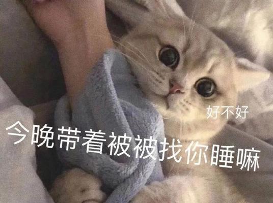 和男朋友聊天技巧让你变男人焦点？如何通过聊天技巧成为他的焦点？