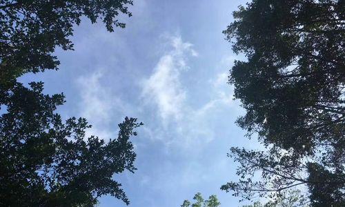 你不是说过会很爱我的吗？承诺与现实的差距如何调和？