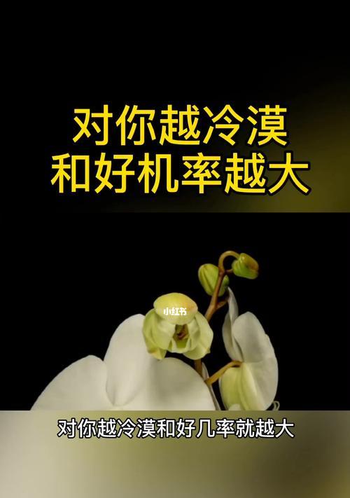 分手后如何修复关系？和男朋友和好如初的秘诀是什么？