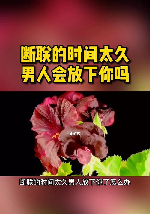 分手挽回最有效的办法是什么？如何正确处理分手后的关系？