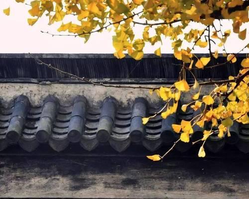 本来无一物，何处惹尘埃？如何理解禅宗的这一思想？