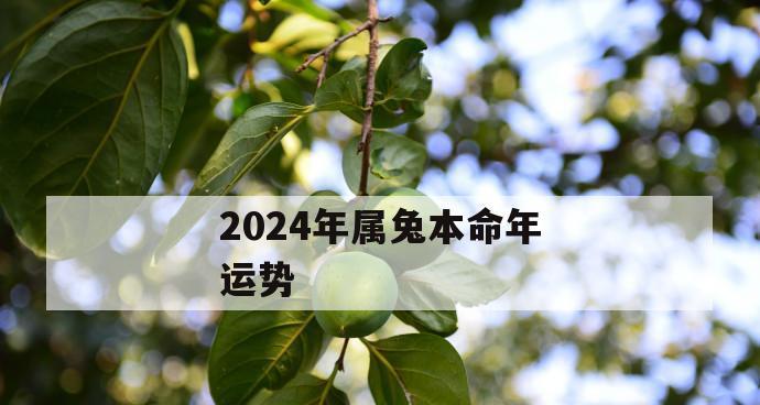 本命年结婚好不好？本命年结婚的宜忌有哪些？
