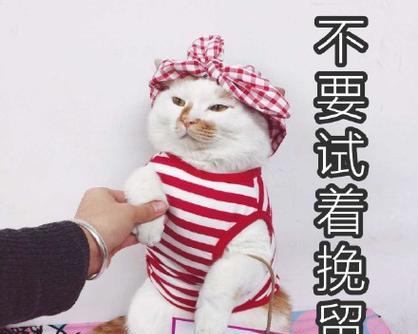 你为什么不爱我了？情感专家解答分手常见问题