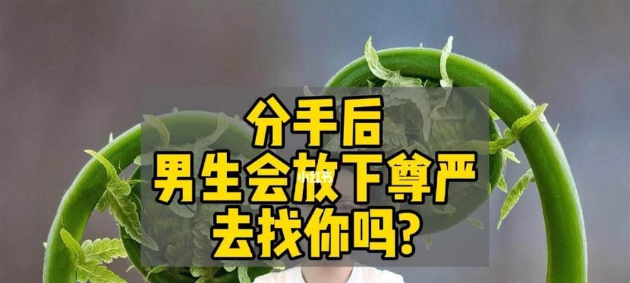 分手后男人多久会找你复合？复合前兆有哪些？